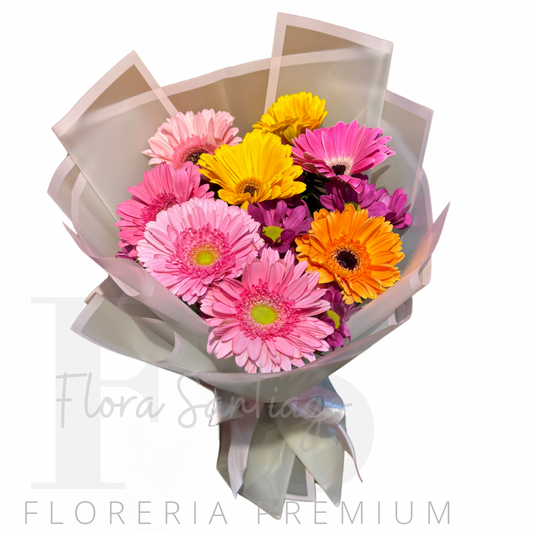 Ramo de 8 gerberas de colores surtido