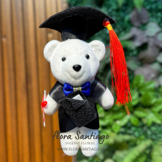 Peluche de graduado