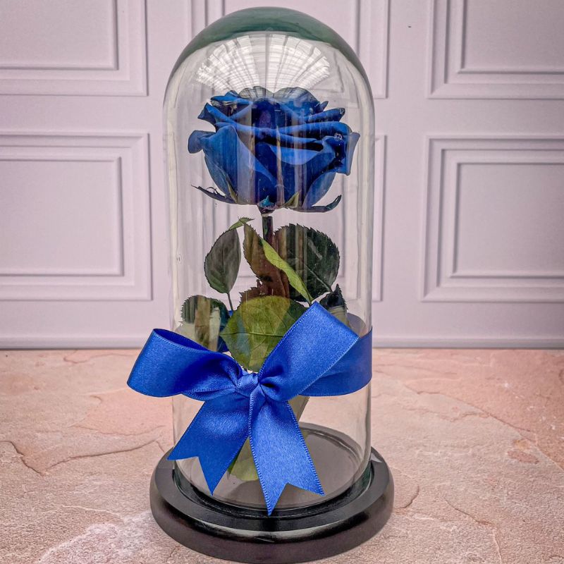 Rosa preservada azul