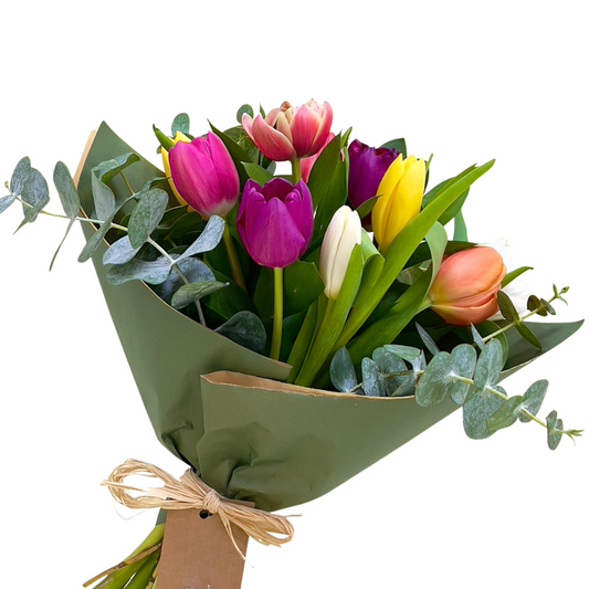 Ramo de 10 Tulipanes surtido colores