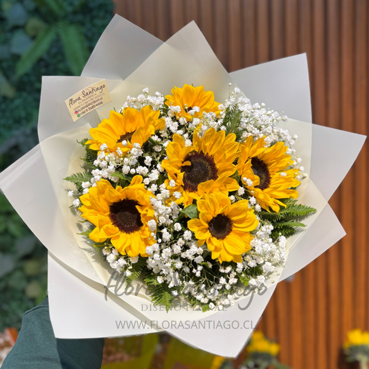 6 girasoles envueltos en papel para regalo