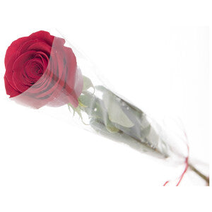 1 rosa en papel celofán