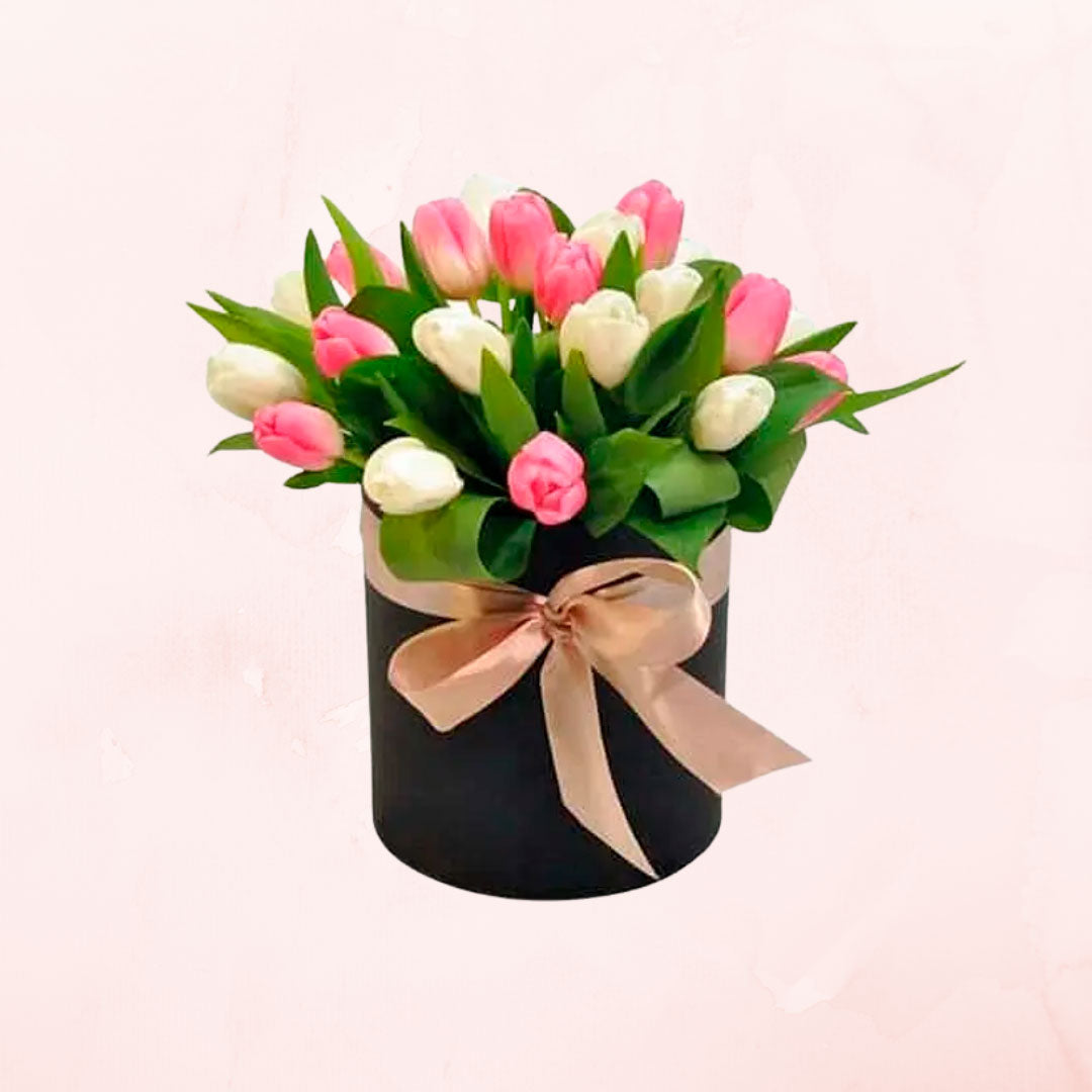 Box de 30 Tulipanes Blancos y Rosados
