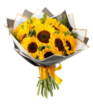 RAMO DE 12 GIRASOLES ENVUELTO EN PAPEL COREANO
