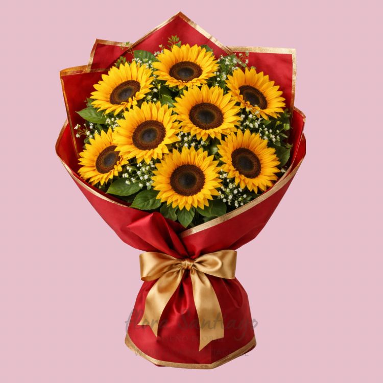 Ramos de 10 girasoles envuelto para regalo