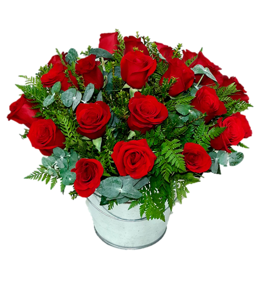 BALDE DE 24 ROSAS IMPORTADAS