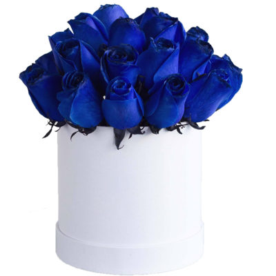 BOX DE 24 ROSAS AZULES