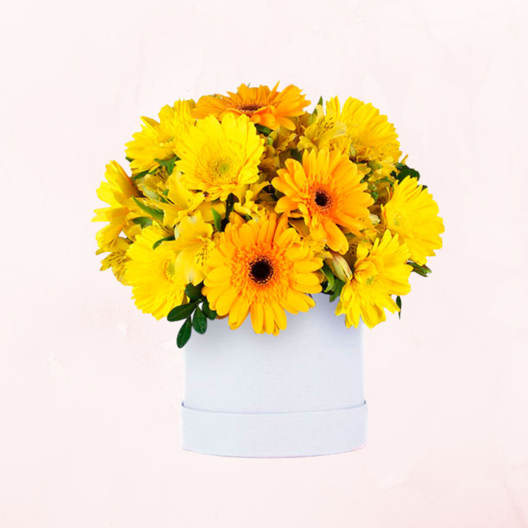 Box de 10 Gerberas y Claveles Amarillos
