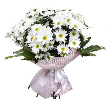 ELEGANTE RAMO DE MARGARITAS BLANCAS