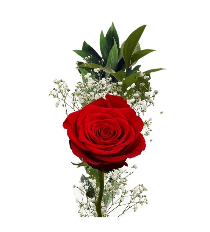 ROSA INDIVIDUAL CON ILUSIÓN