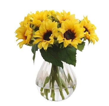 MINI SAMARITANO DE 6 GIRASOLES